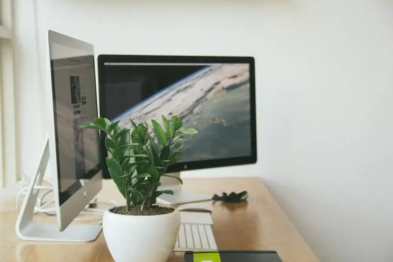 Monitor de ordenador sobre un escritorio junto a una planta