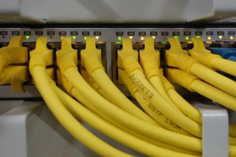 Cables de red amarillos conectados a los puertos de un equipo de red