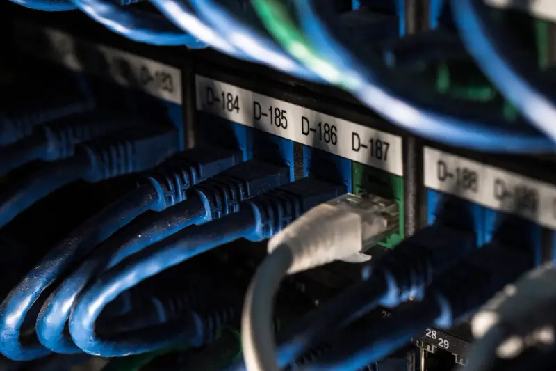 Cables de red azules conectados en un armario de comunicaciones